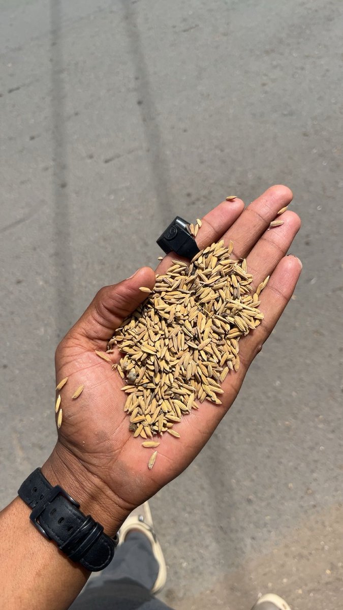 abvbakr_RMK's tweet photo. I sell all kinds of iPhones and Samsung smartphones and provide quality paddy trucks for companies anywhere in Nigeria https://t.co/SECY4ajsuU