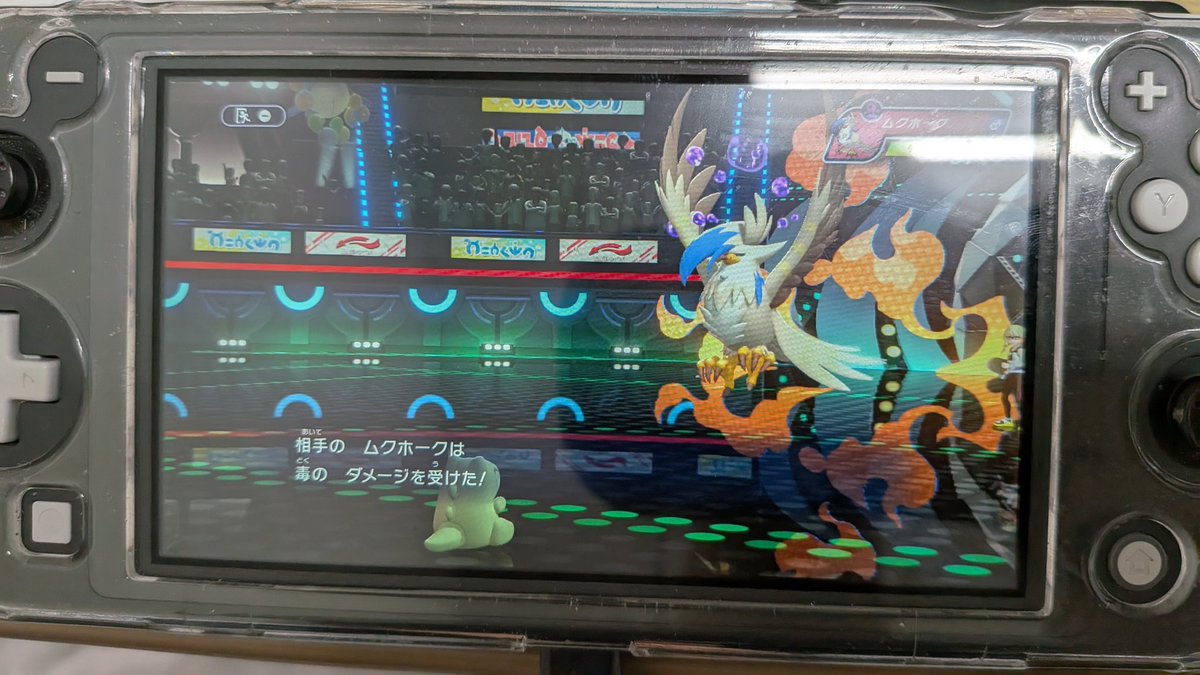 TaRuPoke35's tweet photo. ムクホークめっちゃ強いって聞いたんだけど…… https://t.co/eKHs3e6sdl