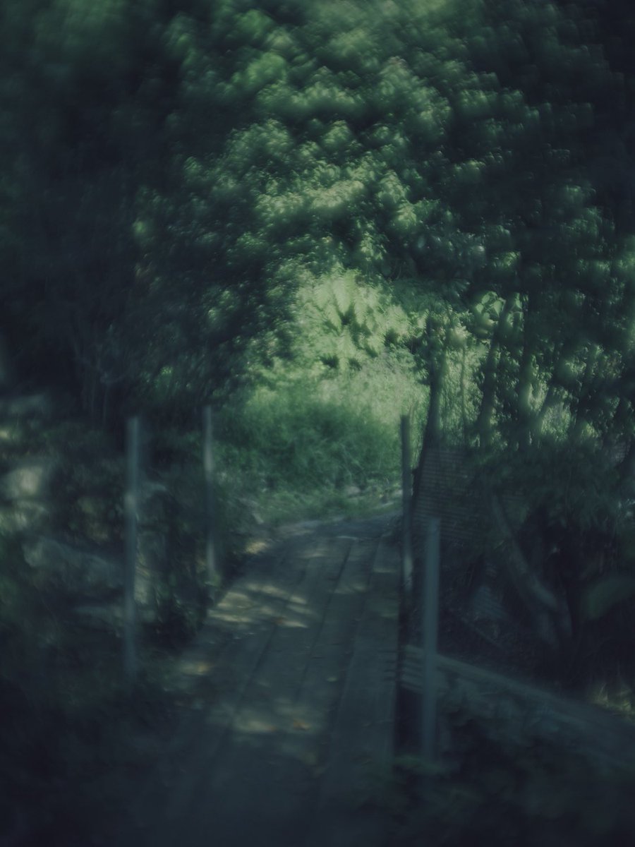 M_Iriguchi's tweet photo. 沖島 https://t.co/Ul7cdszCYf