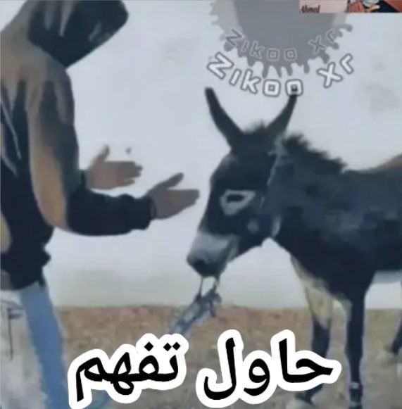 rveeeq's tweet photo. استيكري المفضل مع ناس كتيره😂😂😂 https://t.co/gPyRZmd6wl