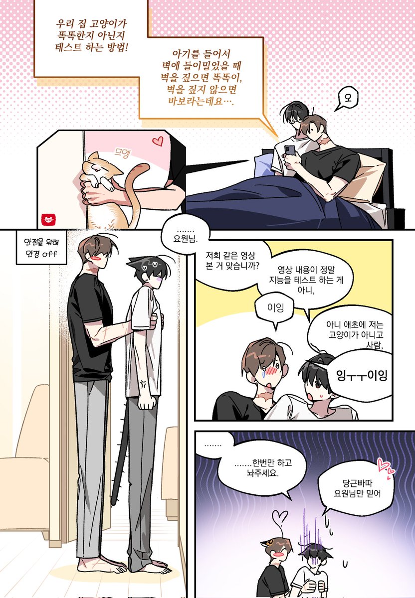 ksmgohome_0707's tweet photo. 최솔,,,, 고양이 바보 테스트 https://t.co/XMAuUiSMYi