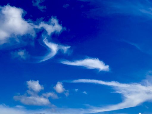 REISAN_no_HEYA's tweet photo. 空の雲がね
「ふ〜」って言ってました
おーいみんな
ちゃんと深呼吸できてるかな？

知らず知らずのうちに息苦しくなっている事もあるから、毎日必ず空を見上げてゆっくり呼吸しようね
ふ〜っ https://t.co/TC5p73tWkR