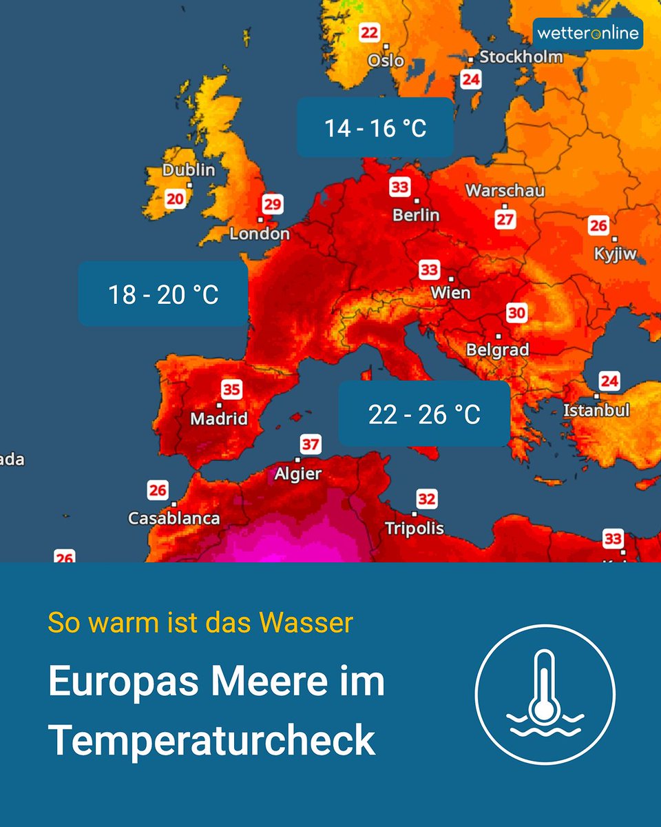 WetterOnline's tweet photo. 🌊 In vielen Teilen Europas sorgt aktuell sonnig-heißes Sommerwetter für Badelaune. Doch wie warm ist das Meer eigentlich? 🤔
👉 https://t.co/9itvtwx07F
Ab welcher Wassertemperatur gehst du ins Meer? 💦
#Wassertemperatur #Sommer #Meer https://t.co/yoEeD2fy85