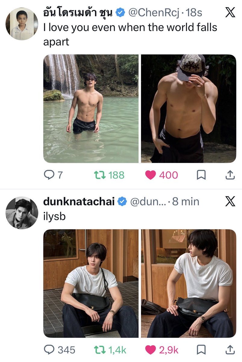 aninha (rest) tweet media