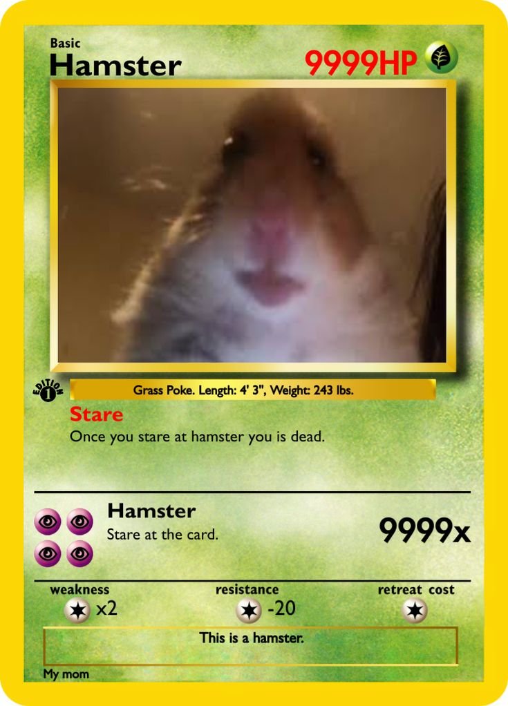 hamster pokemon card Date idea: We open Pokémon Trading Cards together he gains Resist +2 Boo Token • MTG |