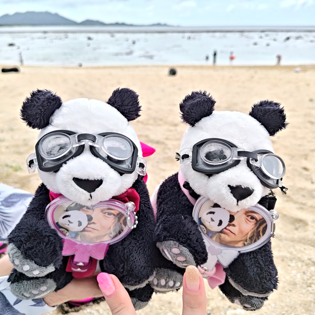 hinabox's tweet photo. 旅行中も推し活忘れないっ🐼🐼 https://t.co/L6DNPqVVx8
