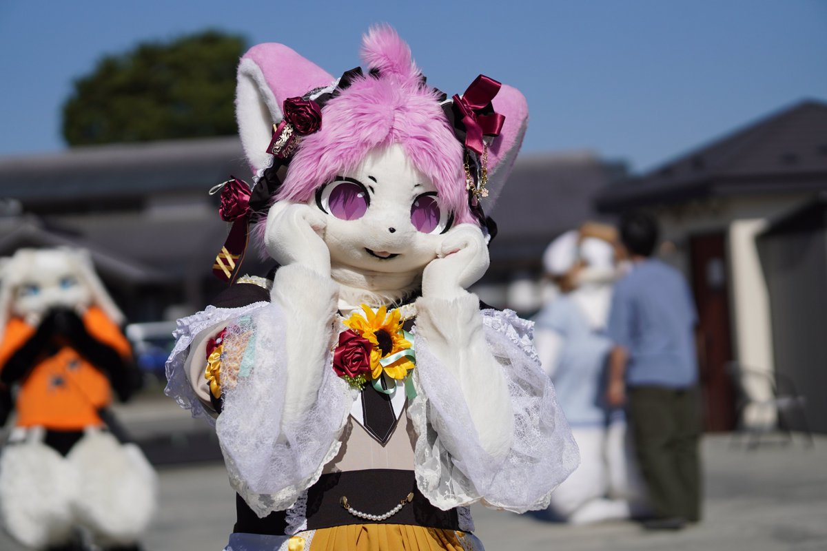 kantyou1212's tweet photo. #TDOC9 #Fursuit #FursuitEveryday

きゃっ💕 https://t.co/hmH2b1ET2a