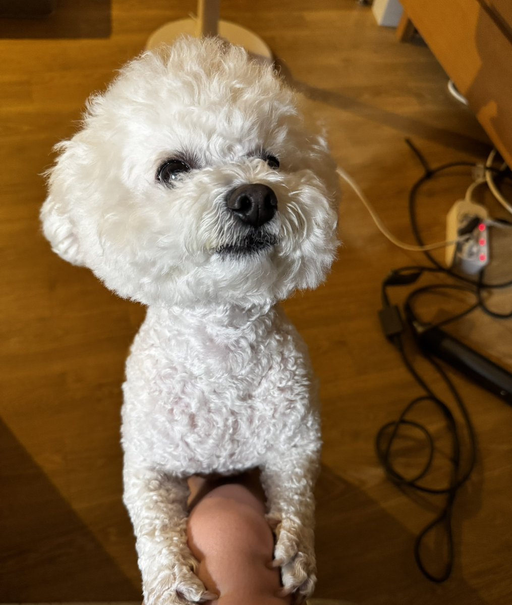 필수마그네슘 tweet media