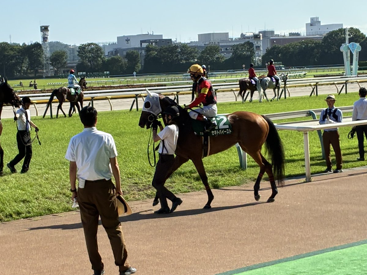 kerofrog39's tweet photo. 今日は府中牝馬ステークス2025優勝馬セキトバイースト号の写真を再掲していいのか！ https://t.co/sLdhSPjgxF