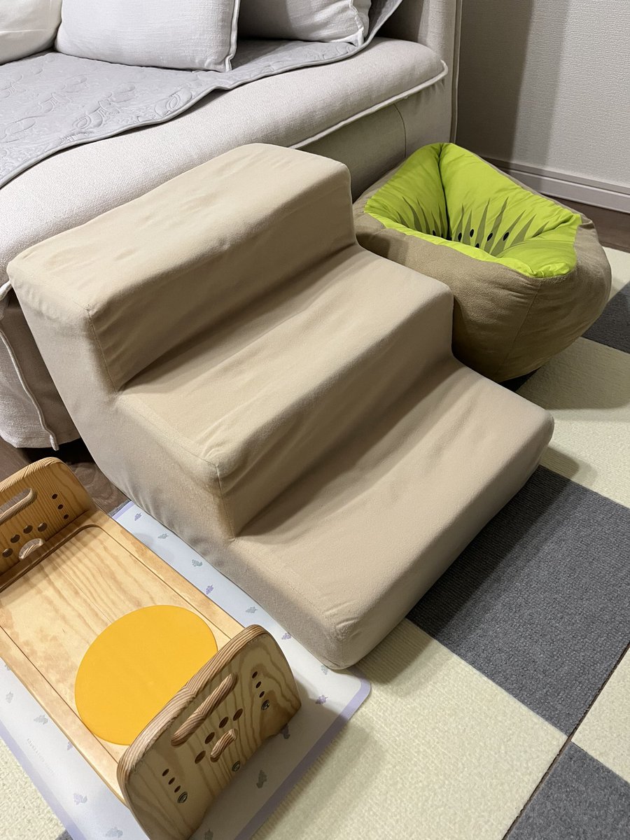 gr86_ryo's tweet photo. うちのわんこ、明日内視鏡検査だから今夜は動物病院に入院…いつもいる場所に居ないと寂しいね。。。 https://t.co/F9tBKMgNFM