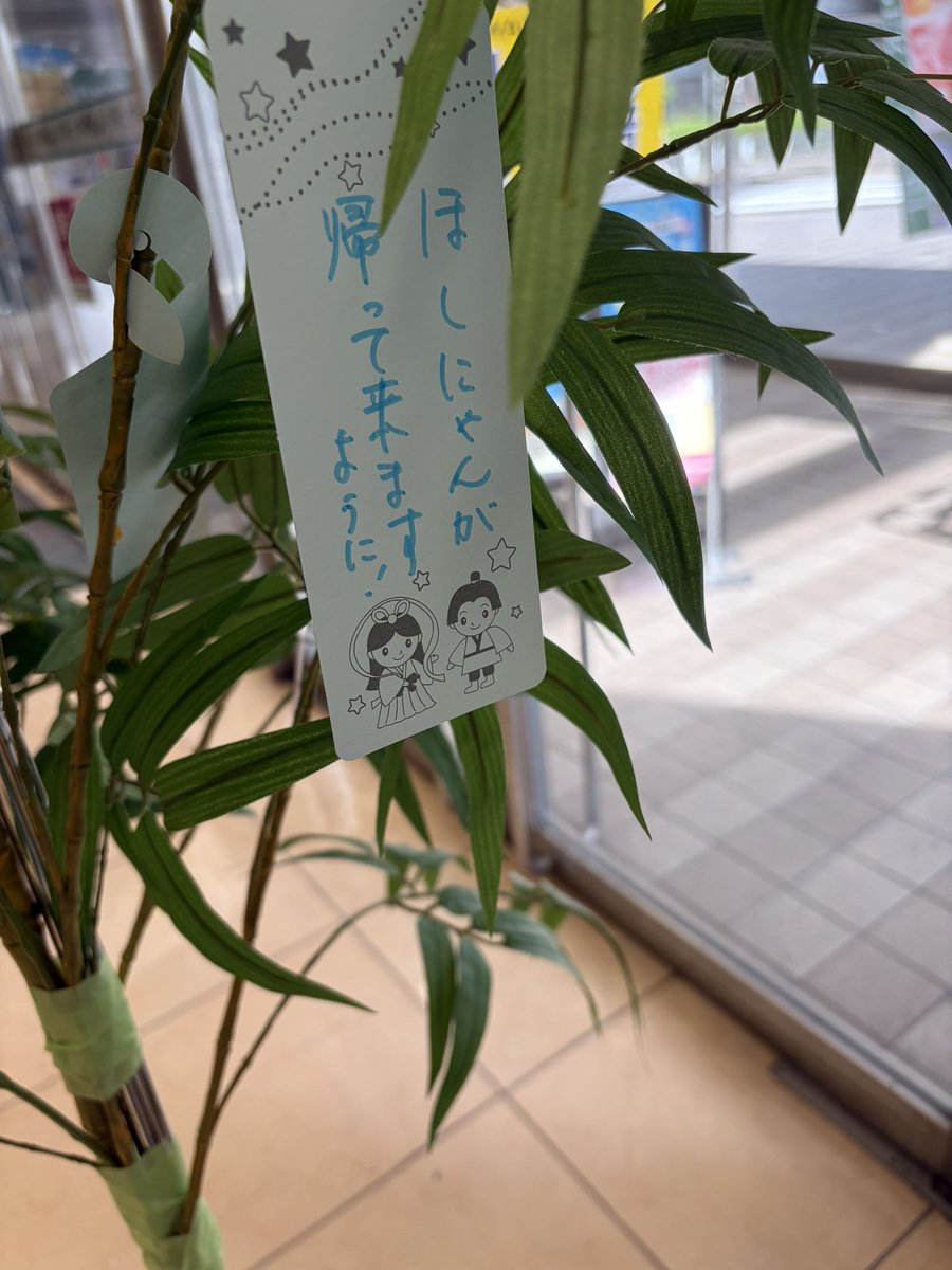 6kuma's tweet photo. 「小学生以下」って但し書きあったけど、書いてきちゃった
(^(ｴ)^#)ﾌﾌﾌ
#ほしの島のにゃんこ
#にゃんこカムバック https://t.co/nbAtlWTFvV