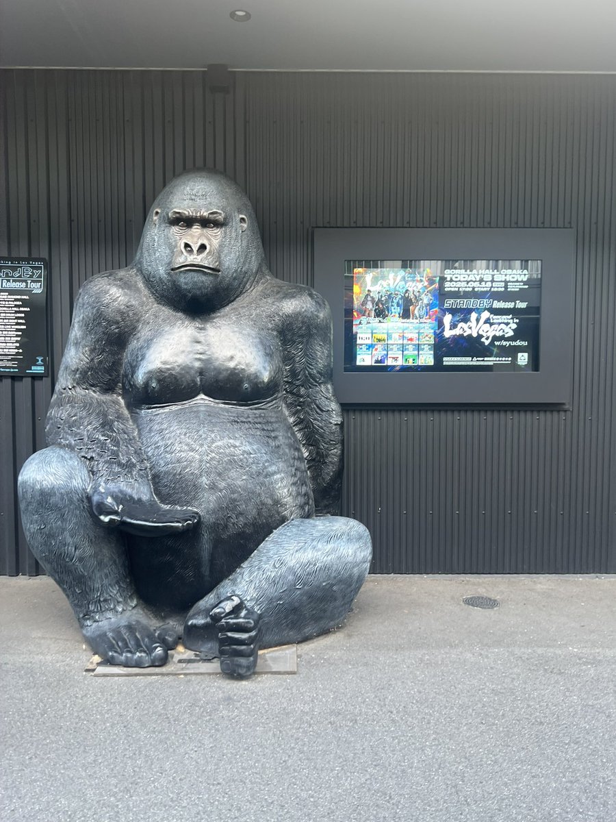 rock_2you's tweet photo. ベガスとsyudouの対バン楽しすぎました！！

死者蘇生のエピソードはマジで笑った🤣 https://t.co/ee9PtNpRP7