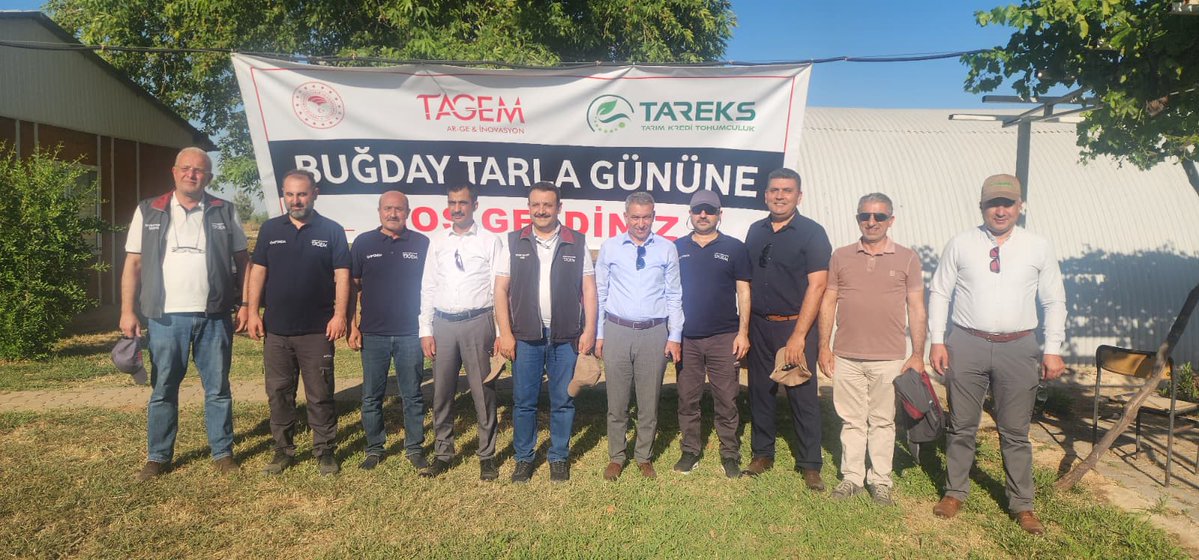 tarimkredisanl1's tweet photo. ŞANLIURFA’DA YERLİ TOHUMUN GURUR GÜNÜ: "CEMMO" BUĞDAY TOHUMUNUN İLK HASATI YAPILDI

#TarımKredi #tarımkredikooperatifleri #TarımınGeleceği
#tagem #gaptaem #şanlıurfa #yerlitohum https://t.co/lWdcy5s0dz