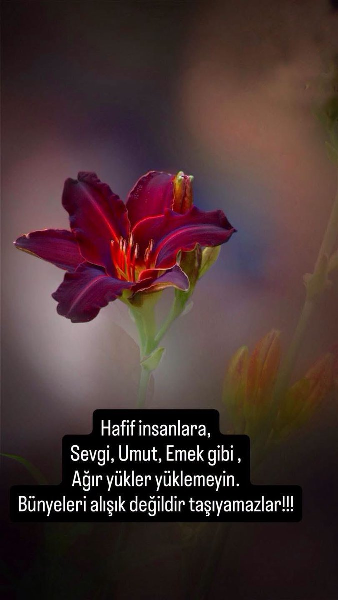 Muhammet34T's tweet photo. Zordur taşımak https://t.co/kmSfCDMXsE