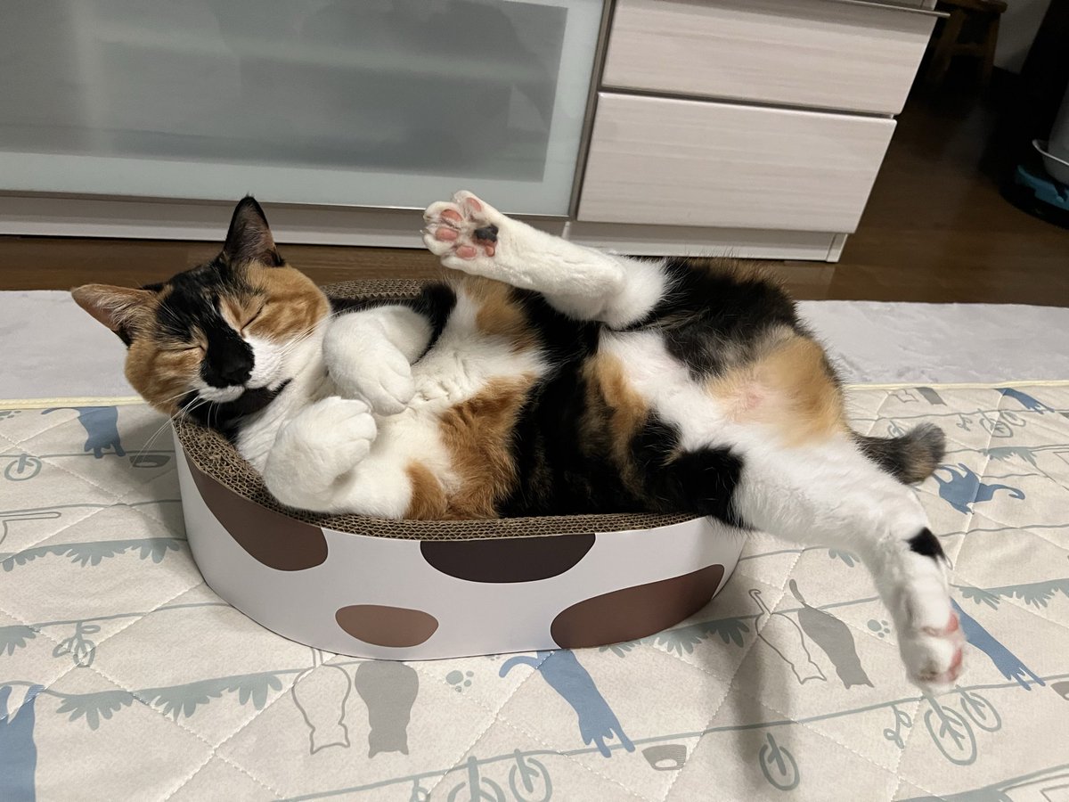 おやすみなさい💤
