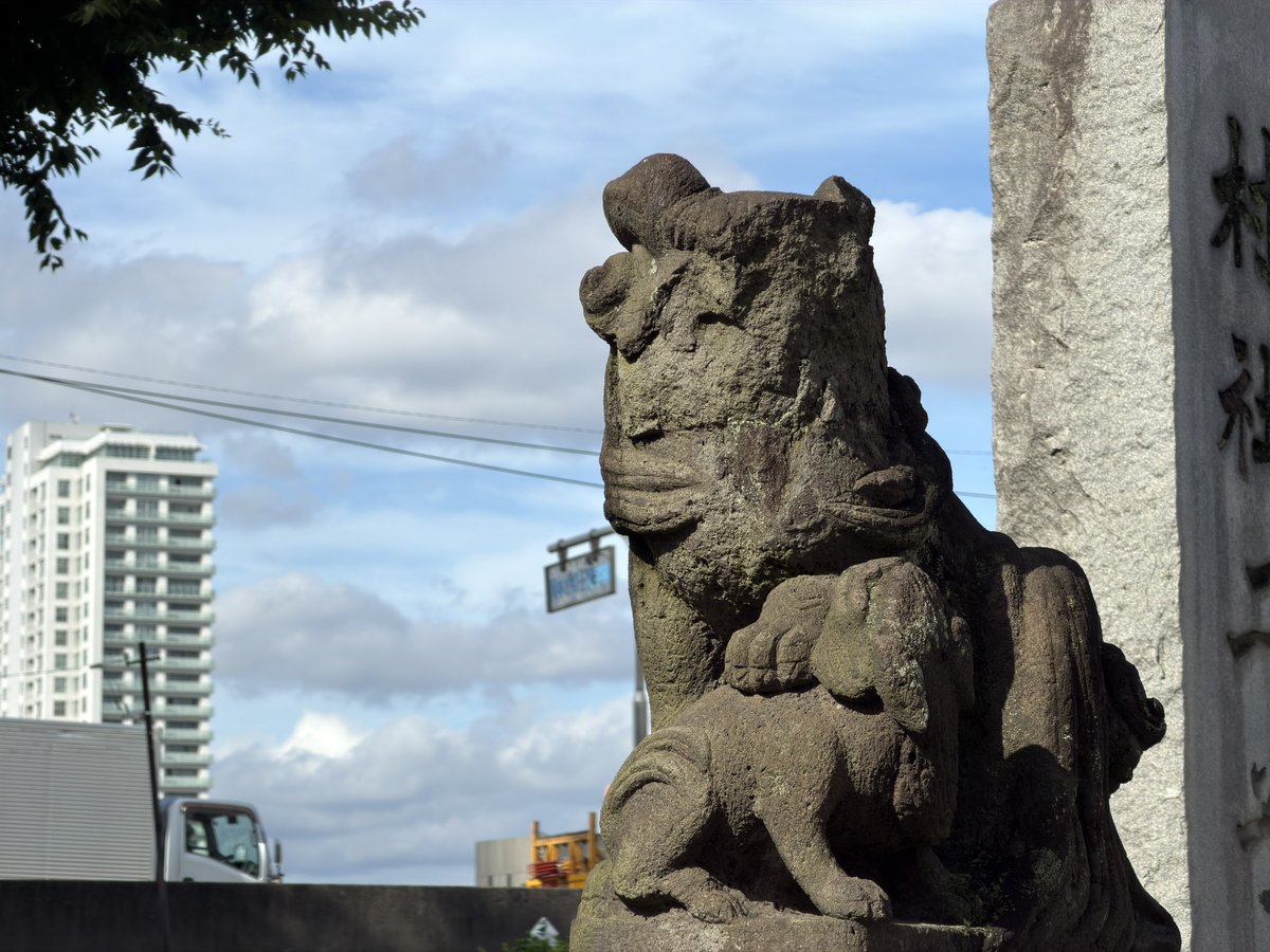 waka_04's tweet photo. ここまで状態の悪い狛犬（獅子）初めて見た。なんで顔だけこんなに破損してんだ？ https://t.co/fbfPadwyPV