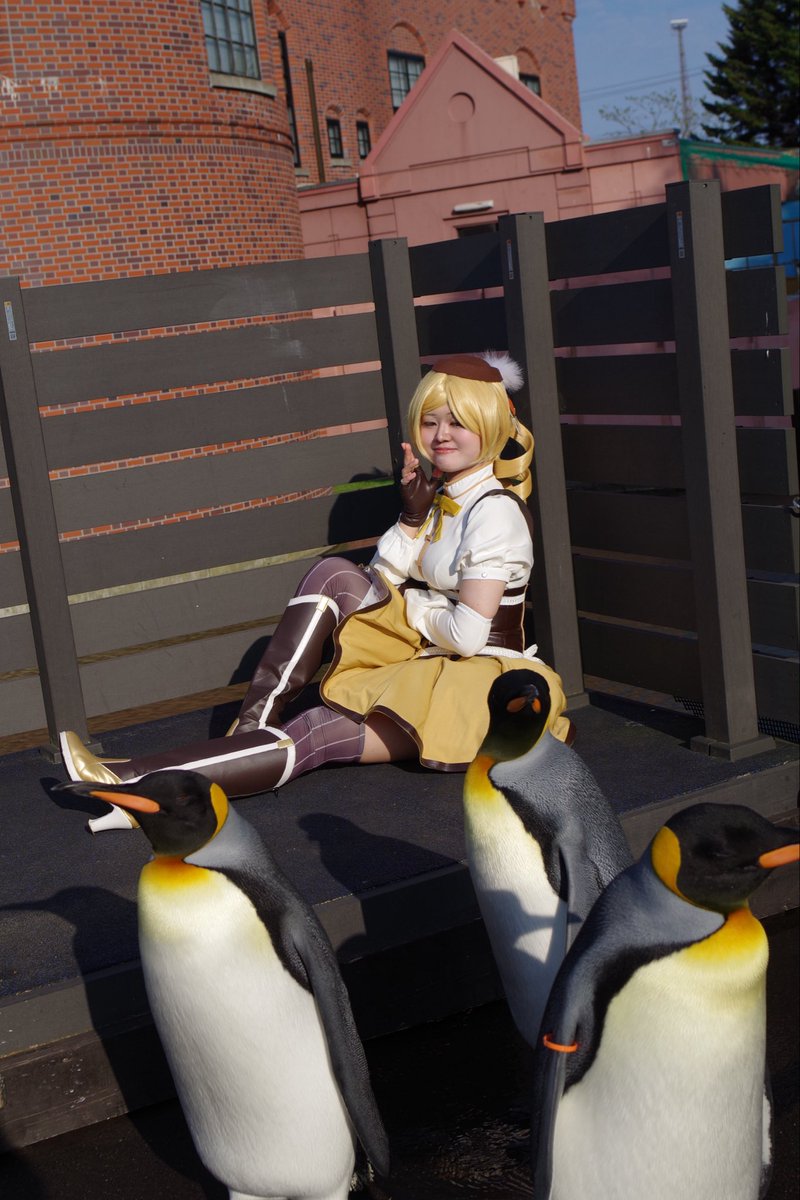 yuria0524_white's tweet photo. ペンギンとのショット📷⟡.·
完全に寝て起た顔のマミさん
#レイヤーさんはコスプレの時のオフショットを晒して下さい
#マリコス https://t.co/dZidSq5IRk