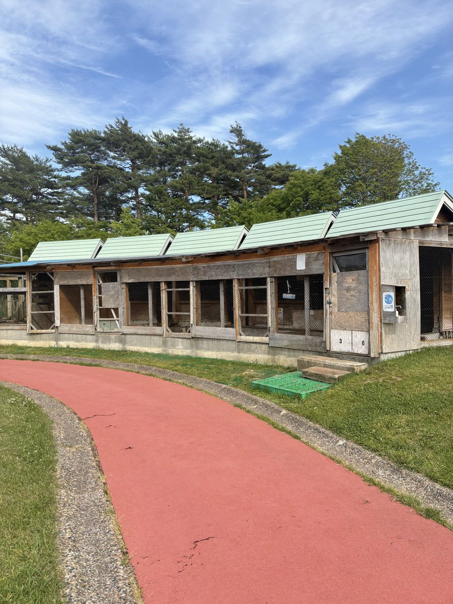 jagmuoj's tweet photo. 【ご意見募集】

うさぎの飼育環境について、専門家・うさぎ飼育経験者・動物福祉に詳しい方の意見を聞きたいです。

施設名は伏せます。
告発ではなく、まずは「これは一般的に適切なのか」を知りたくて投稿します。

実際に現地へ行き、飼育員の方から話を聞きました。 https://t.co/aN5zsATL8R