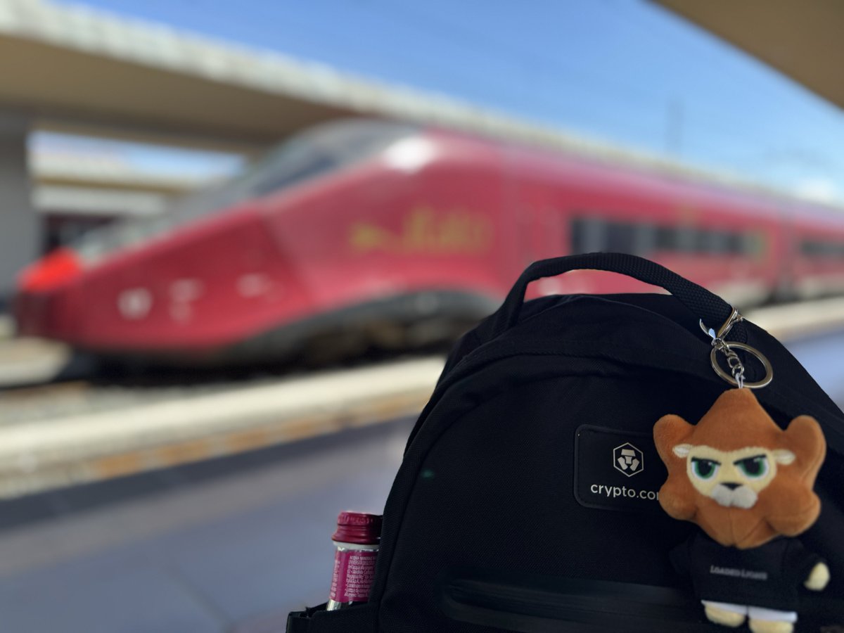 MisterCrypto137's tweet photo. Ready to go 🚄 
 And you? 
#LoadedLionsFam #CroFam https://t.co/B44qAriGqZ