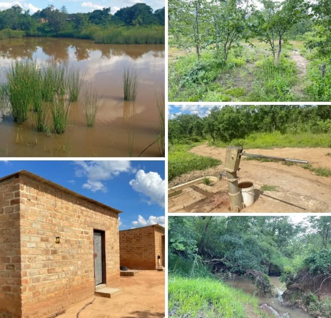 central_estates's tweet photo. 60 Hectares Farm for Sale in Zimba District, Zambia. 
- Livingstone Road
- On Title
- 2 Streams
- Dam
- 6 Workers Houses
- Borehole
Price K1m

Central Estates Zambia
Call: +260976311748
WhatsApp: +260962563356
Email: enquiries@centralestates.org
Website: https://t.co/CKfkFFVQVB https://t.co/4tpZH4P0q5