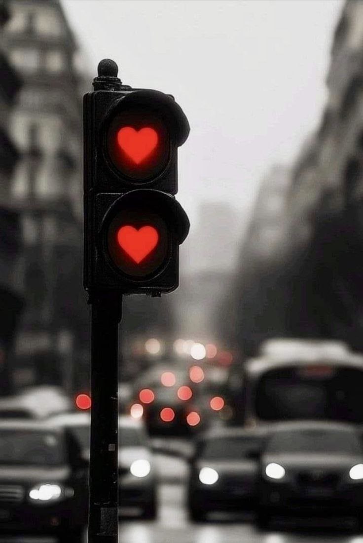 uaeiji's tweet photo. نحن..
لا نحصل على ما نتمنى..
و لكن..
نحصل على ما قسمة الله لنا..
فالحمد لله على ما أعطى..
و على ما منع .. https://t.co/DGqYhcaFKM