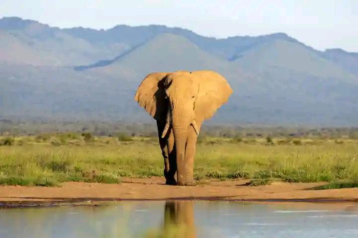 tukwa2's tweet photo. As Big Life grows, one thing remains unchanged: conservation works best when communities refining how we describe our purpose and aspirations.
#CommunityConservation https://t.co/ZY5tP3I351