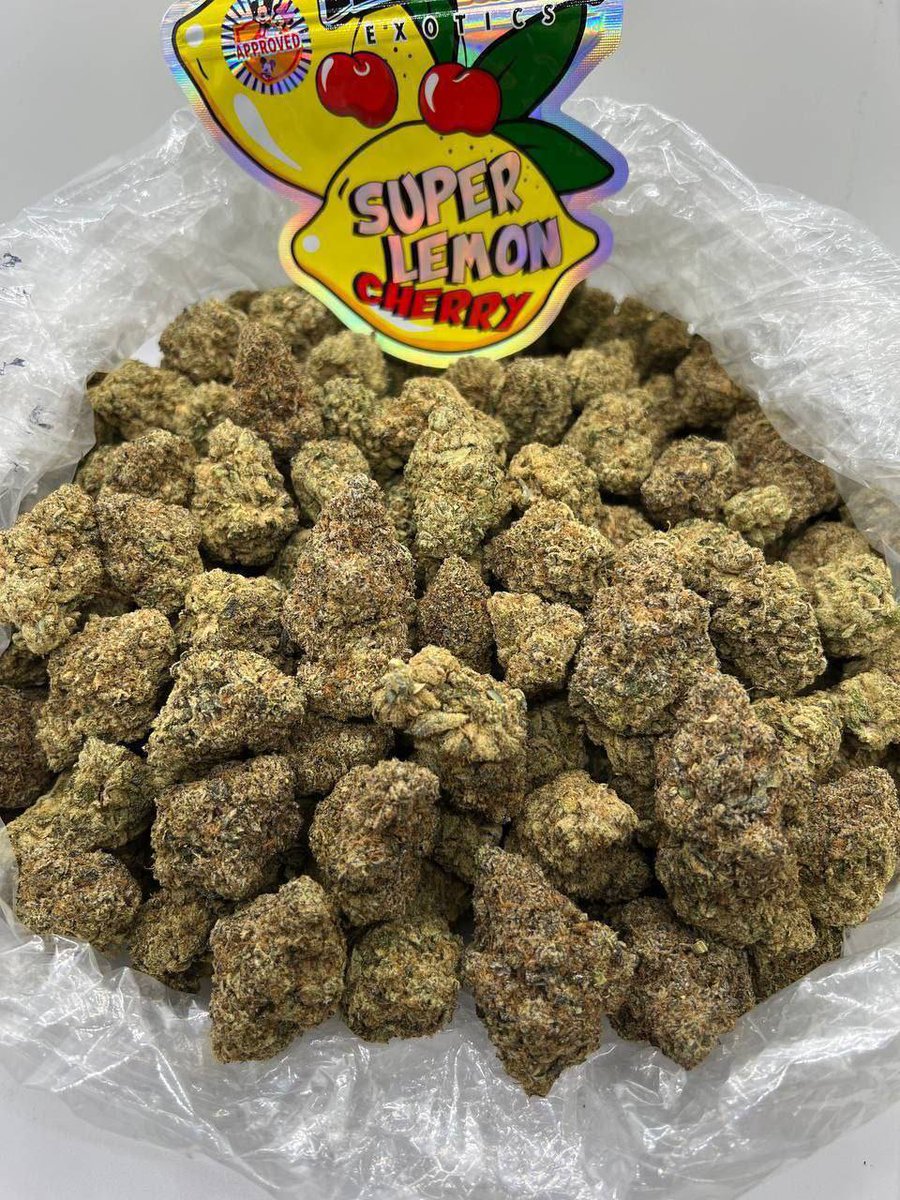 sinctyseeds's tweet photo. SUPPER LEMON CHERRY 🍒🔥⛽ https://t.co/HSx0Xuo8ZE