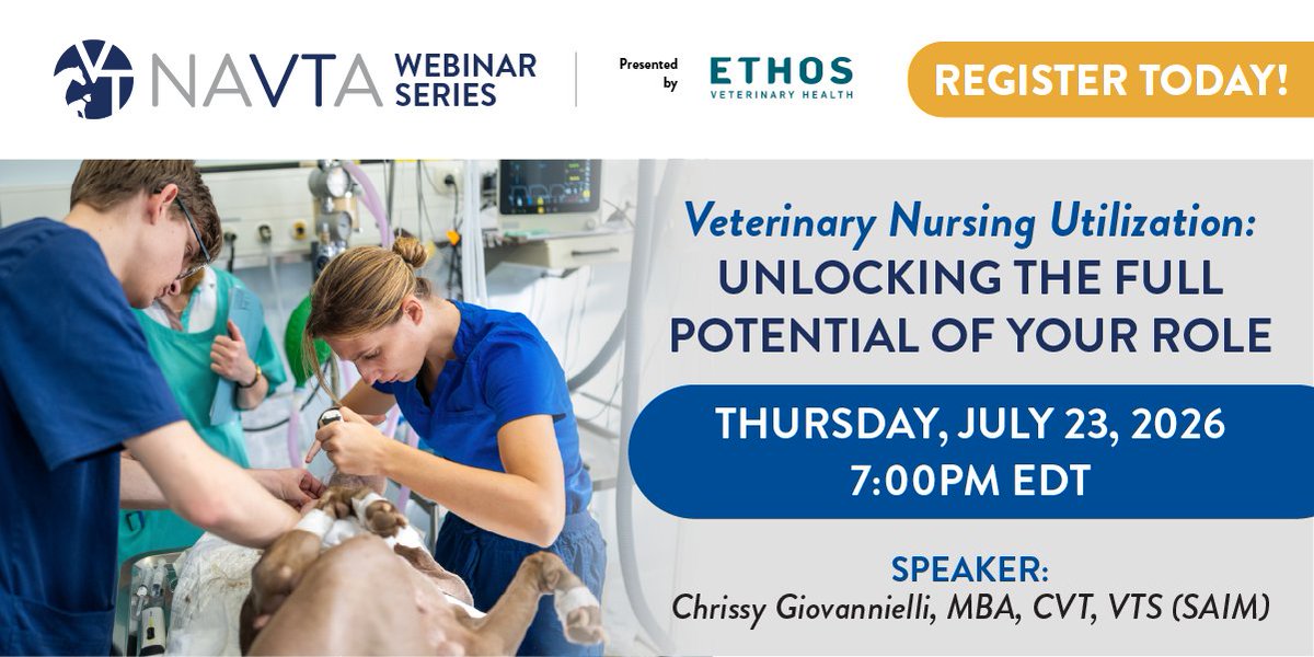 vettechs tweet media