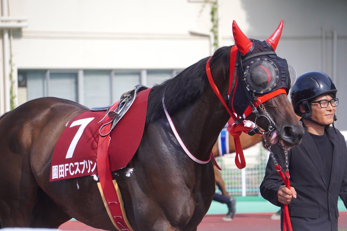 サンスポZBAT!地方競馬(サンケイスポーツ) tweet media