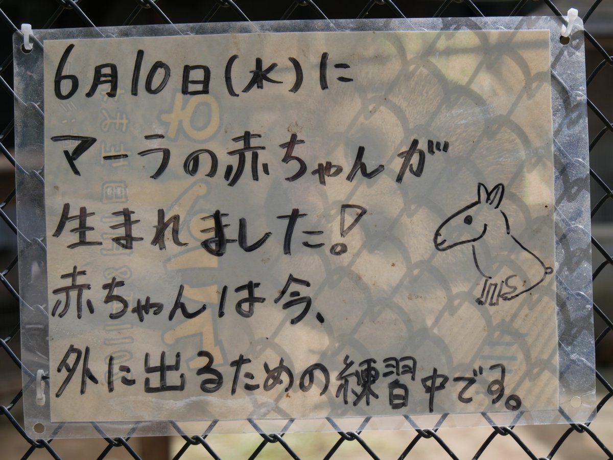とーま tweet media