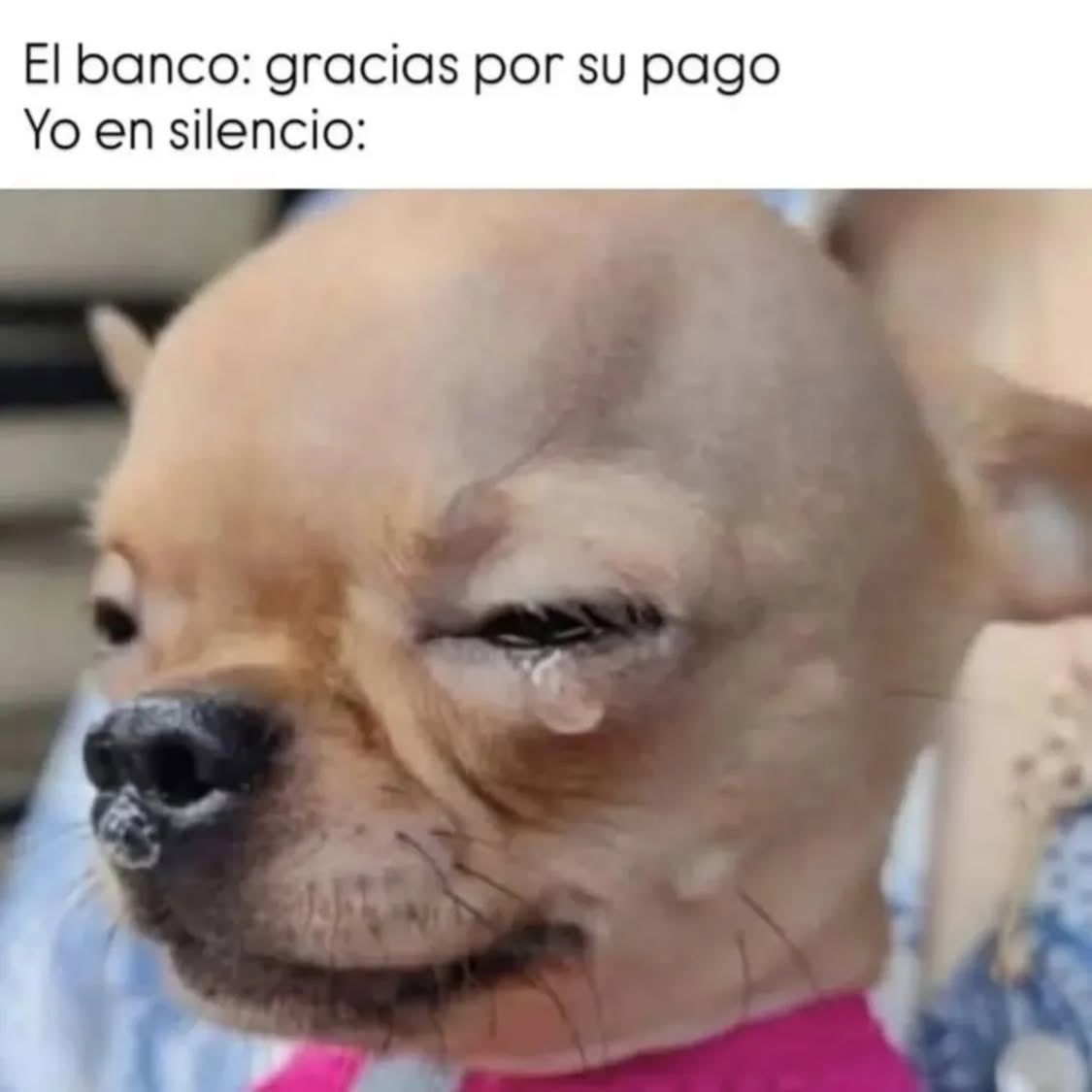 roysanz1995's tweet photo. Jueves de ? https://t.co/B5YwMCGF1k