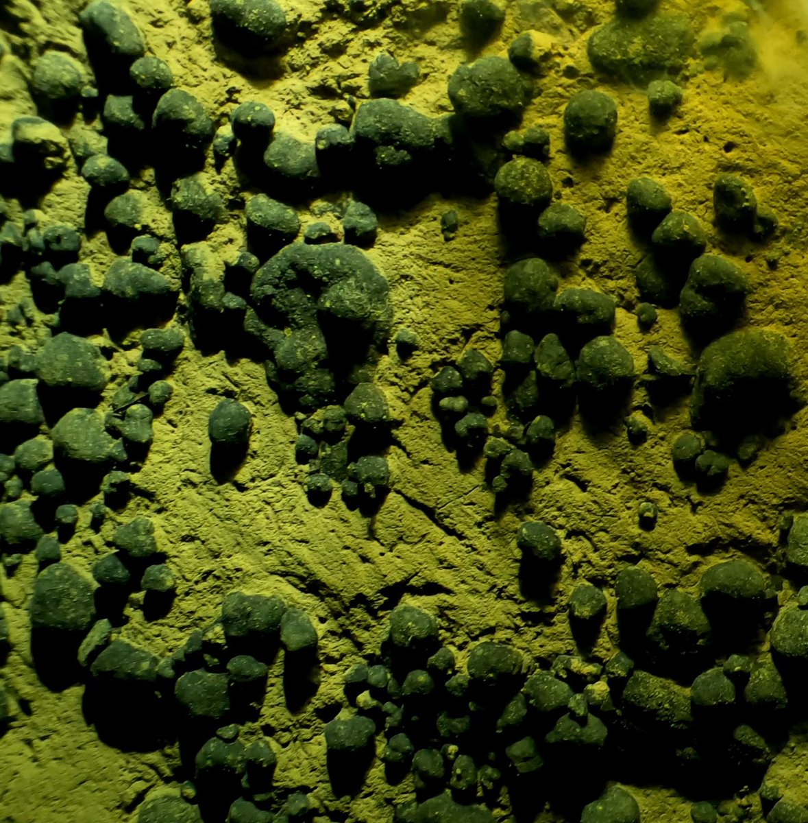 BOEM's tweet photo. #Freedom250 Spotlight: Deep-sea polymetallic nodules—potato-sized and packed with cobalt, copper, nickel, and rare earths—are found 4,000–7,000 meters below the surface. They support clean tech and national security. #CriticalMinerals https://t.co/02J056WwFj