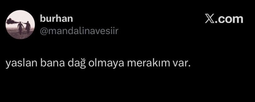 T tweet media