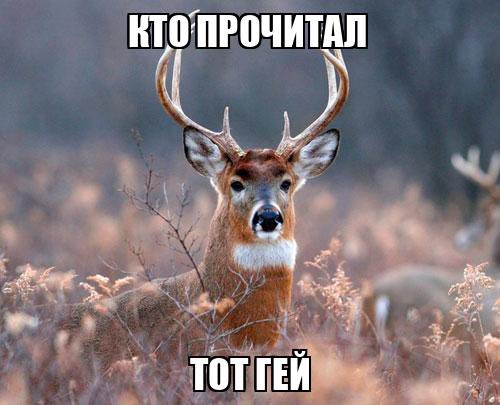 natroechku's tweet photo. @opuxlo @ginekologvash https://t.co/qCc88f2BWc