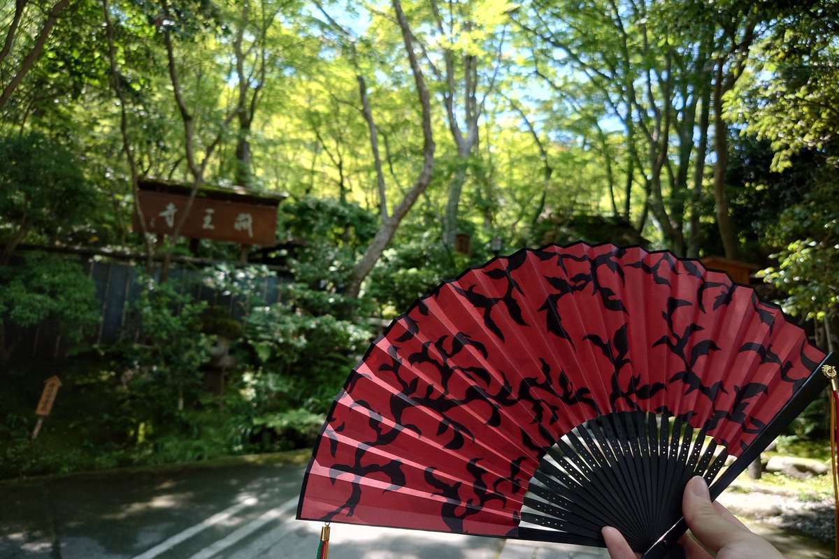 twilightmailuna's tweet photo. ずっとずーっと行きたかった祇王寺に先日友人と行ってきました！
あやかし緋扇と出会ってからいつか行きたいと思ってたので本当に良かった…
自然が素敵でとても落ち着ける空間だったし、記憶に焼き付いてるシーンが蘇ってくるようで本当にずっとテンション上がってました https://t.co/2Zo0HxOtcQ