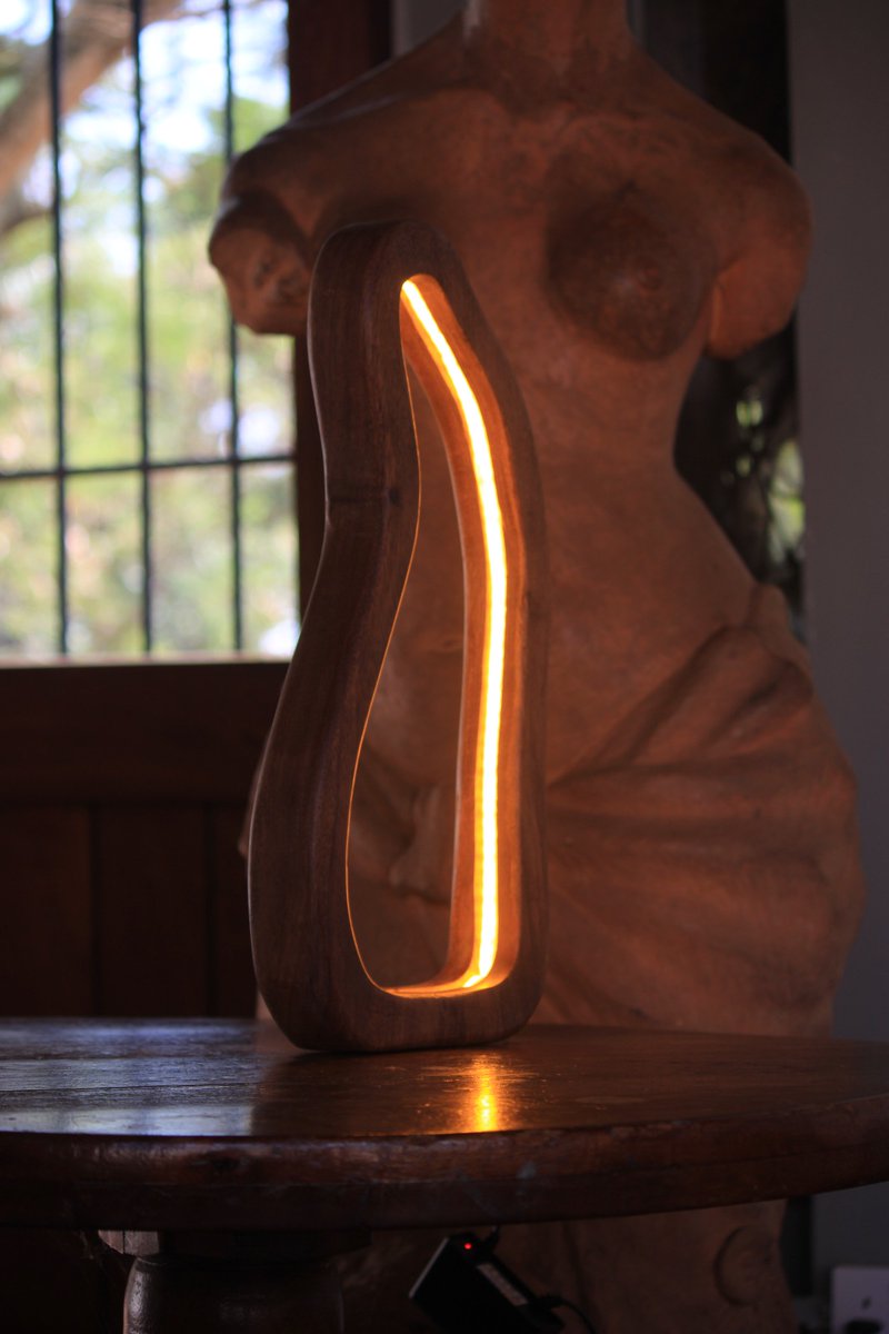 telo_interiors's tweet photo. Dolphin lamp available at UGX. 120,000 https://t.co/TzGgRuwrVC