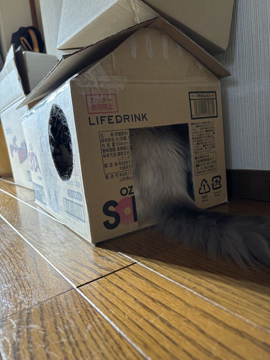 tomo_dasu's tweet photo. モニカですが今朝からお腹の調子が悪くて下痢Pです💦
薬をもらってきていい子に飲んでくれたけど…元気が無くてずっと寝てばかり😴
起きたと思ったらトイレに行き…やっぱり💩がゆるゆるで💦
早く良くなるといいな🥺 https://t.co/k4SVRcXKMj