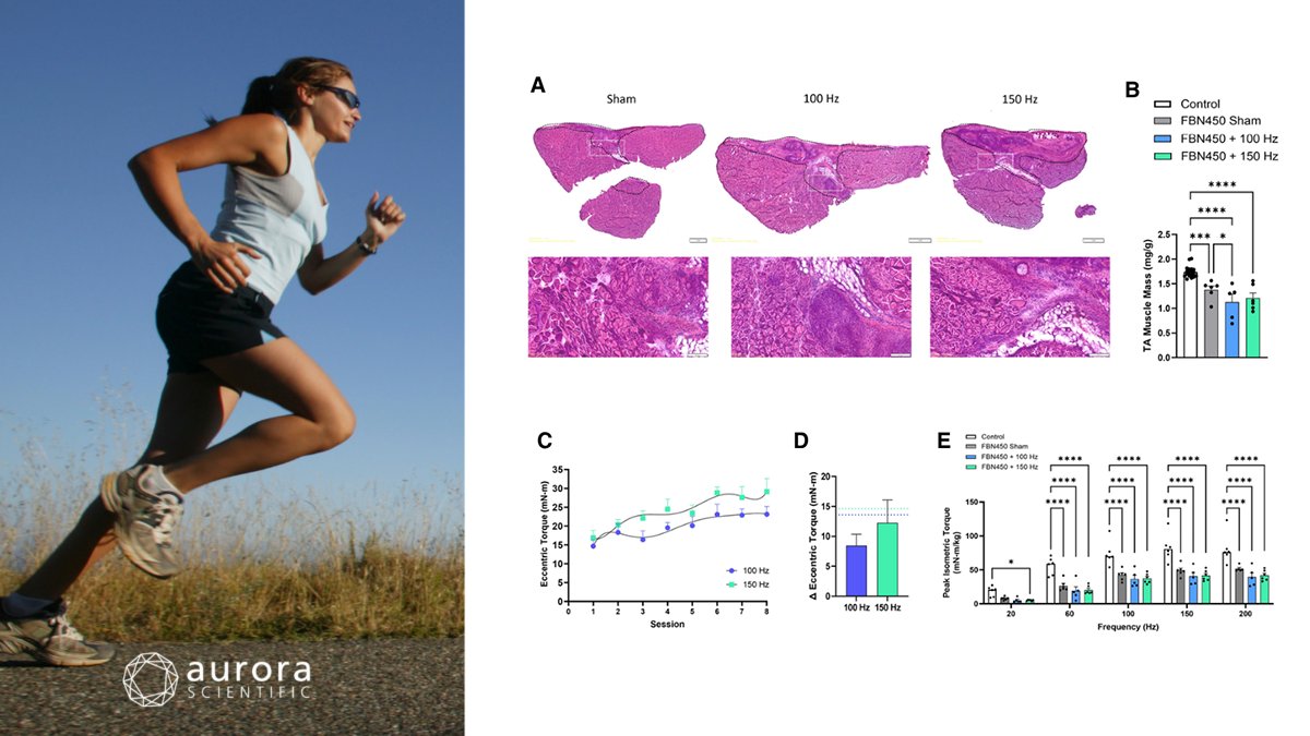 AuroraSci's tweet photo. ⚡Publication Flash⚡
Our latest publication review, "Exercise Science: A Force of Nature" covers highlights how voluntary, forced, and swimming exercise keep both tissue and knowledge in peak condition.

Read it now:
https://t.co/4qp3BSZaL9

#Exercise #IBEC2026 https://t.co/404LGB0r5t