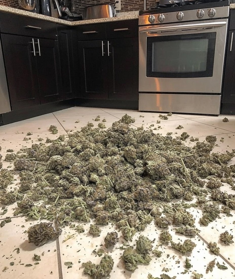 MkBrantEdk's tweet photo. Enjoy superior buds and exotic weed, paired with a diverse selection of weed vapes- disposable carts, edibles, hash, rosins, pre-rolls. Active plugs #buycotent in London, Manchester, Birmingham, Leeds, Liverpool, Glasgow, Cardiff, Belfast, Paris, Lyon https://t.co/A8nZ9xXhs8 https://t.co/MAwo2TuMzD