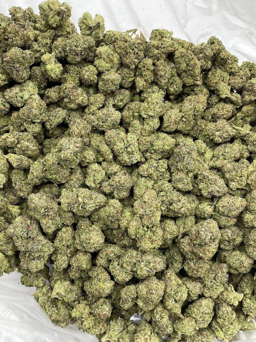 MkBrantEdk's tweet photo. Enjoy superior buds and exotic weed, paired with a diverse selection of weed vapes- disposable carts, edibles, hash, rosins, pre-rolls. Active plugs #buycotent in London, Manchester, Birmingham, Leeds, Liverpool, Glasgow, Cardiff, Belfast, Paris, Lyon https://t.co/A8nZ9xXhs8 https://t.co/MAwo2TuMzD