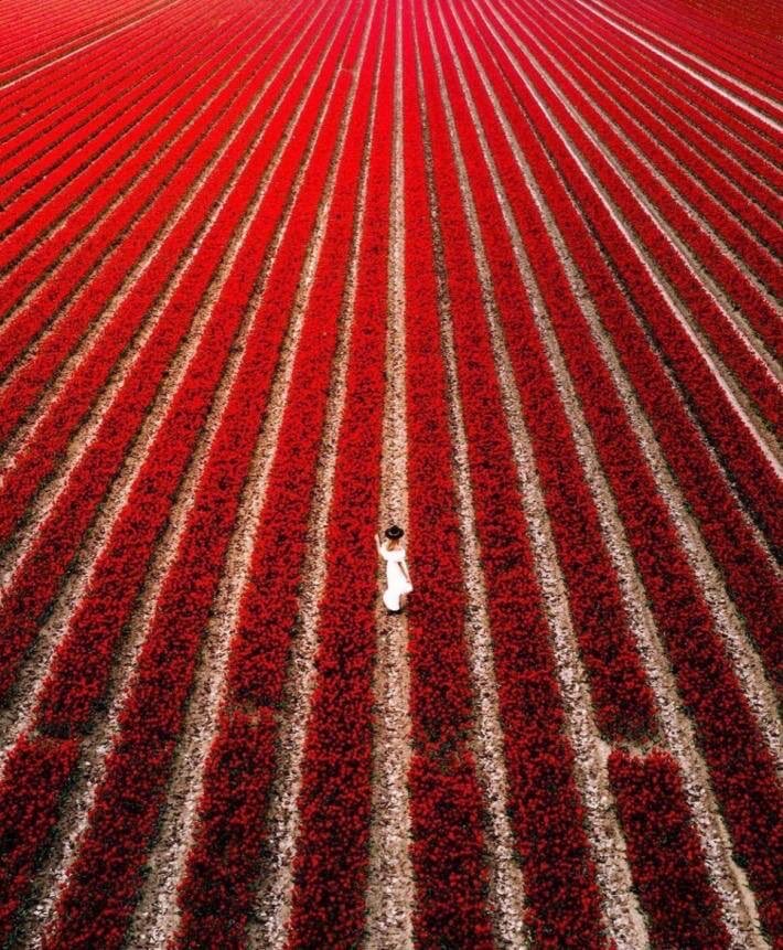 UndergroundGram's tweet photo. Beauty for Thursday https://t.co/pRlkhtXAf8