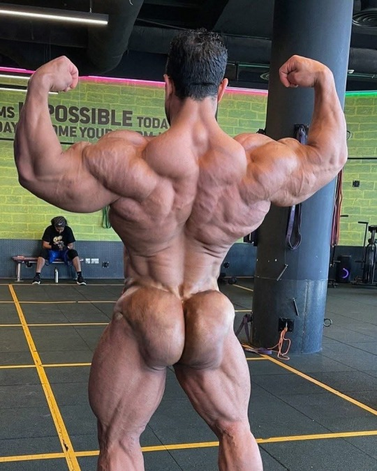 NmusclLustr's tweet photo. Look at that back! https://t.co/bbmh3KXAT0