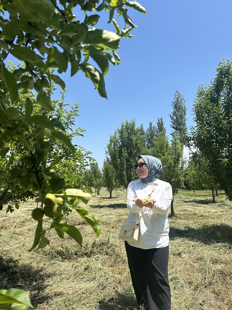aberfin653's tweet photo. 🍃Doğada olmak iyi geliyor 🍈 https://t.co/ZstrYOX4e6