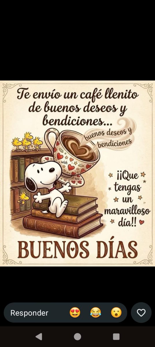 Rayito Suarez tweet media