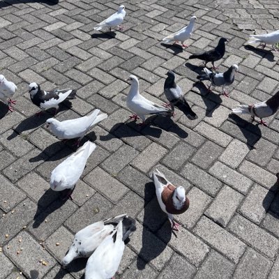 JKey_Ley's tweet photo. #FotoProfilBaru https://t.co/XmDV8nWUz6