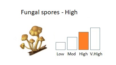 UoL_Aerobiology's tweet photo. #Fungal spore reached high levels on the 12-13 June in #Leicester. Cladosporium 12-14 and Alternaria 12 June were above their allergenic threshold. #Hayfever sufferers should continue to take precautions.   
@UoLCEHS @LeicResearch @UoLPressOffice https://t.co/YCzXaQHn0M