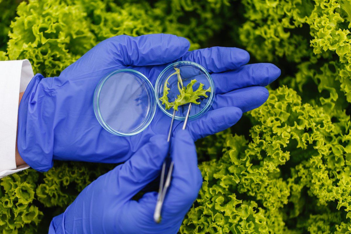 AseBio tweet picture