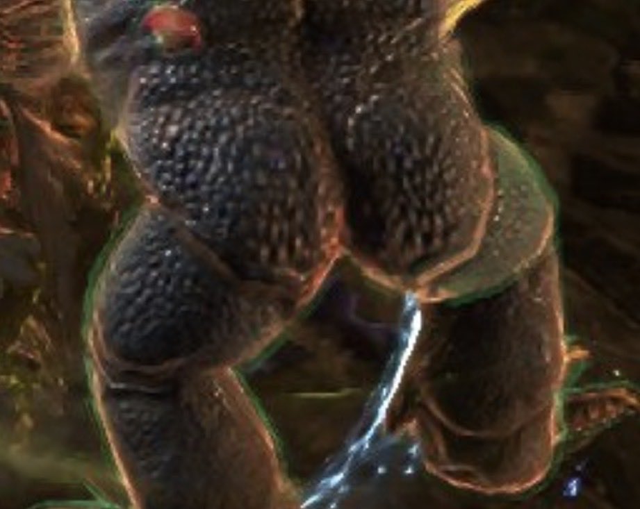 RustyBulletH0le's tweet photo. @_CuteDog_ Well that ass though https://t.co/a1c8iMlXR2