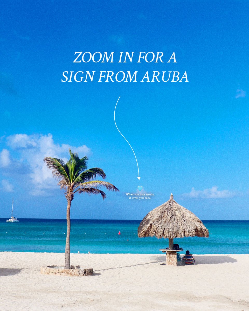 aruba's tweet photo. Come take care of the island with us so we can keep it beautiful for you and generations to come.
Whether it's locals or guests, when you love this island, the only thing it knows how to do is love you back wholeheartedly.💙
#BookedByTheUniverse #ArubaCalling
#UniverseSaidGo https://t.co/rtbBsJgUfv