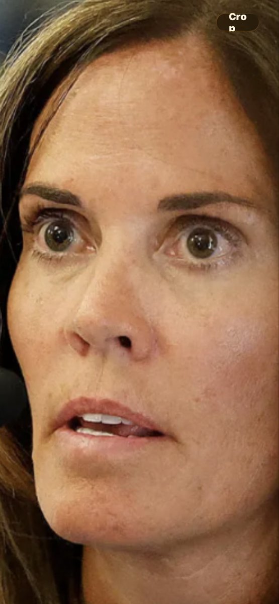 jenny3xln's tweet photo. Never  forget this Bitch  #JenMcCabe pretended to find OJO on the lawn, after googling “Hos long to die in cold” https://t.co/oQ0ACghHIm